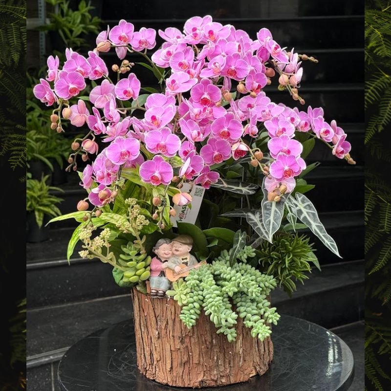 Hoa 8 3 Tặng Mẹ - Lẵng Hoa Lan Hồ Điệp Hồng Mix Sen Đá Chuỗi Ngọc, Trang Trí Tượng Ông Bà 3