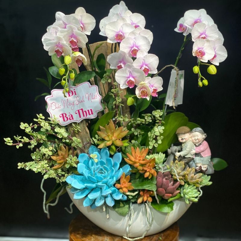 Hoa 8 3- Hoa Sinh Nhật Cho Nữ Giới Đẹp Tươi Lâu: Thuyền Hoa Lan Hồ Điệp Mix Sen Đá