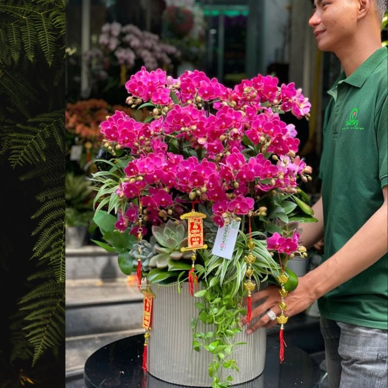 Hoa Tặng Bạn Gái 8/3, 20/10, 14/2 Nên Chọn Hoa Hồ Điệp Mix Sen Đá Vì Sao?