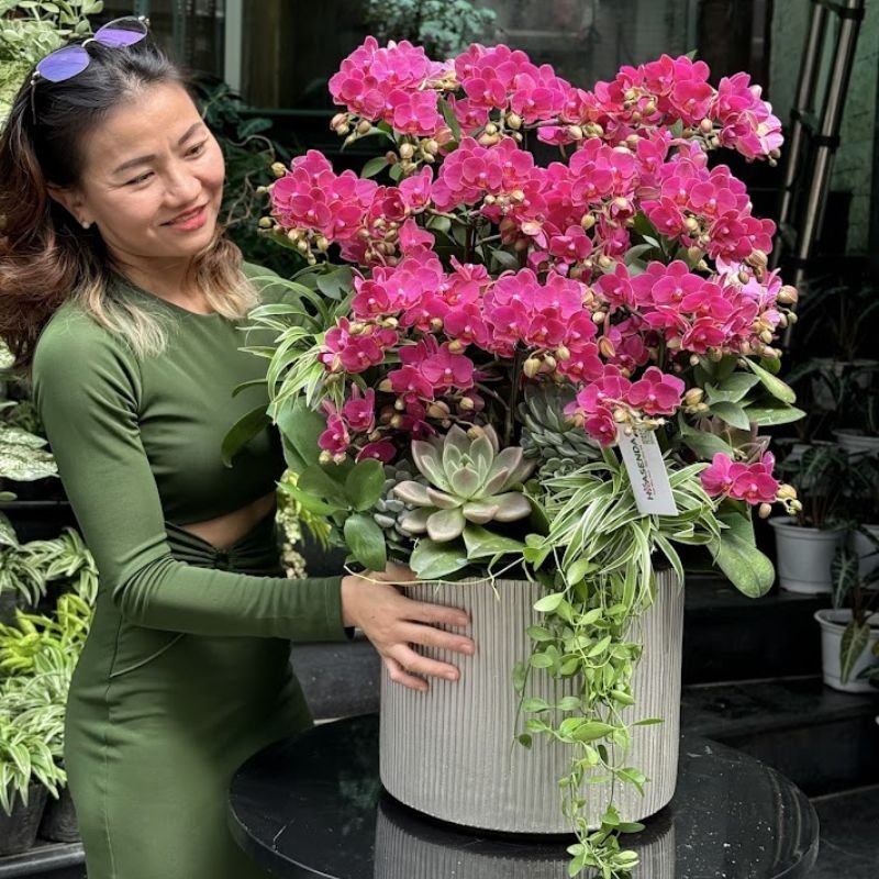 Hoa Tặng Bạn Gái 8/3, 20/10, 14/2 Nên Chọn Hoa Hồ Điệp Mix Sen Đá Vì Sao? 2
