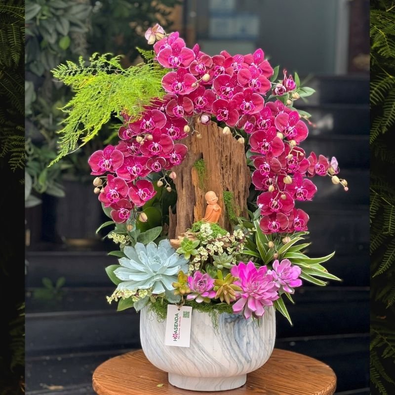 Hoa Tặng Đối Tác - Những Ưu Điểm Khi Chọn Tiểu Cảnh Lũa Lan Hồ Điệp Đỏ Đô Mix Sen Đá 2