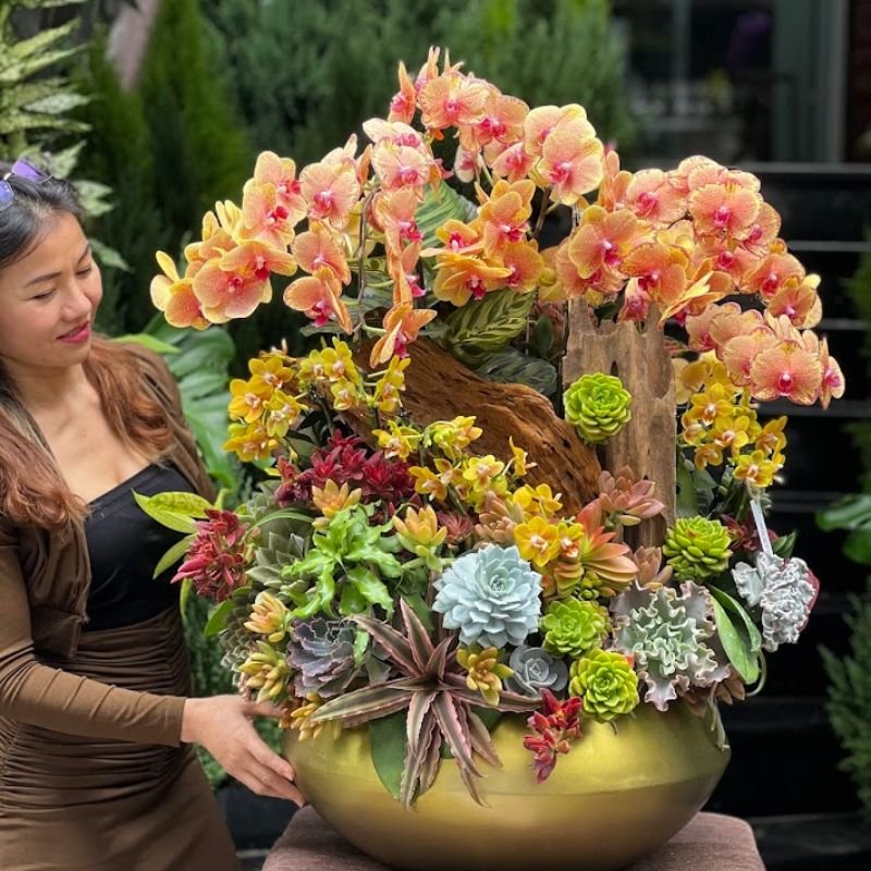 Vì Sao Tieu Ho Diep Mix Sen Đá Decor Như Một Bình Hoa Tươi Đang Rất Được Ưa Chuộng 2
