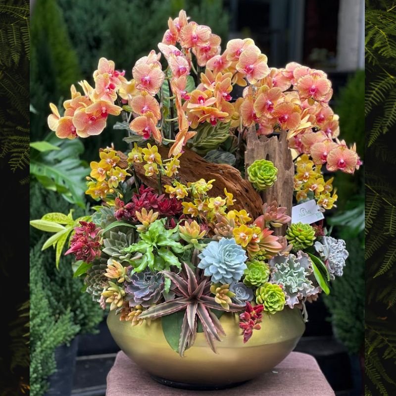 Vì Sao Tieu Ho Diep Mix Sen Đá Decor Như Một Bình Hoa Tươi Đang Rất Được Ưa Chuộng 3