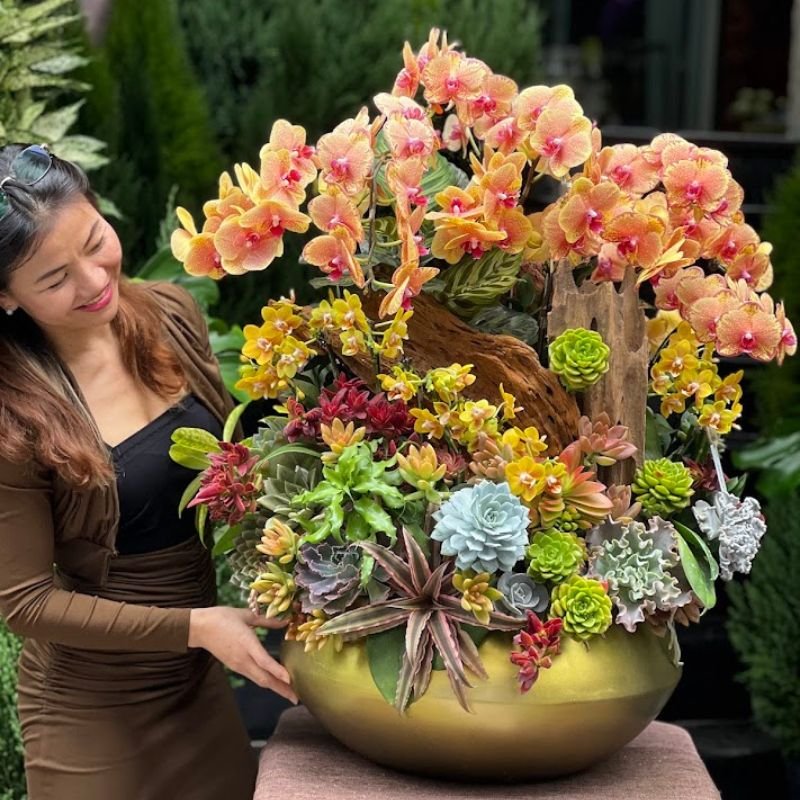 Vì Sao Tieu Ho Diep Mix Sen Đá Decor Như Một Bình Hoa Tươi Đang Rất Được Ưa Chuộng