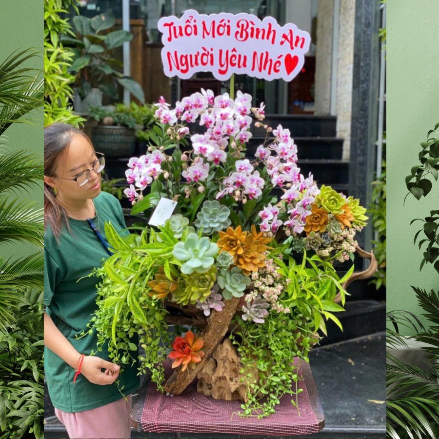 Lũa Gỗ Lan Mini Tím Hồng Mix Sen Đá Mừng Sinh Nhật Người Thương - Món Quà Tình Yêu Ý Nghĩa, Gắn Bó Bền Chặt 2