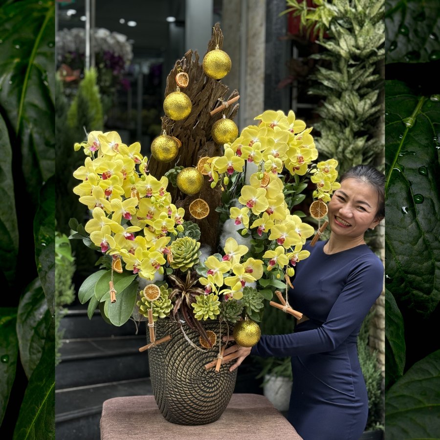 Bình Lan Mini Vàng Mix Sen Đá Decor Trên Lũa Gỗ - Quà Mừng Thăng Chức Sếp Nam Ấn Tượng, May Mắn
