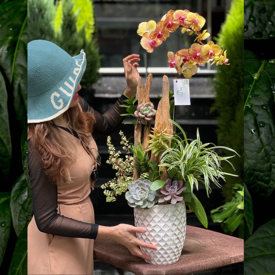 Hoa Lan Mini Để Bàn Mix Sen Đá Ghép Lũa Gỗ - Bức Tranh Thiên Nhiên Để Bàn Khách Cực Sang 3