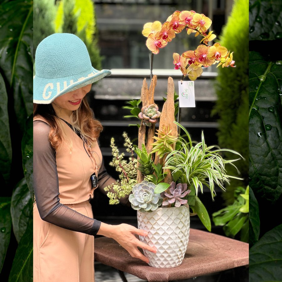 Hoa Lan Mini Để Bàn Mix Sen Đá Ghép Lũa Gỗ - Bức Tranh Thiên Nhiên Để Bàn Khách Cực Sang 2