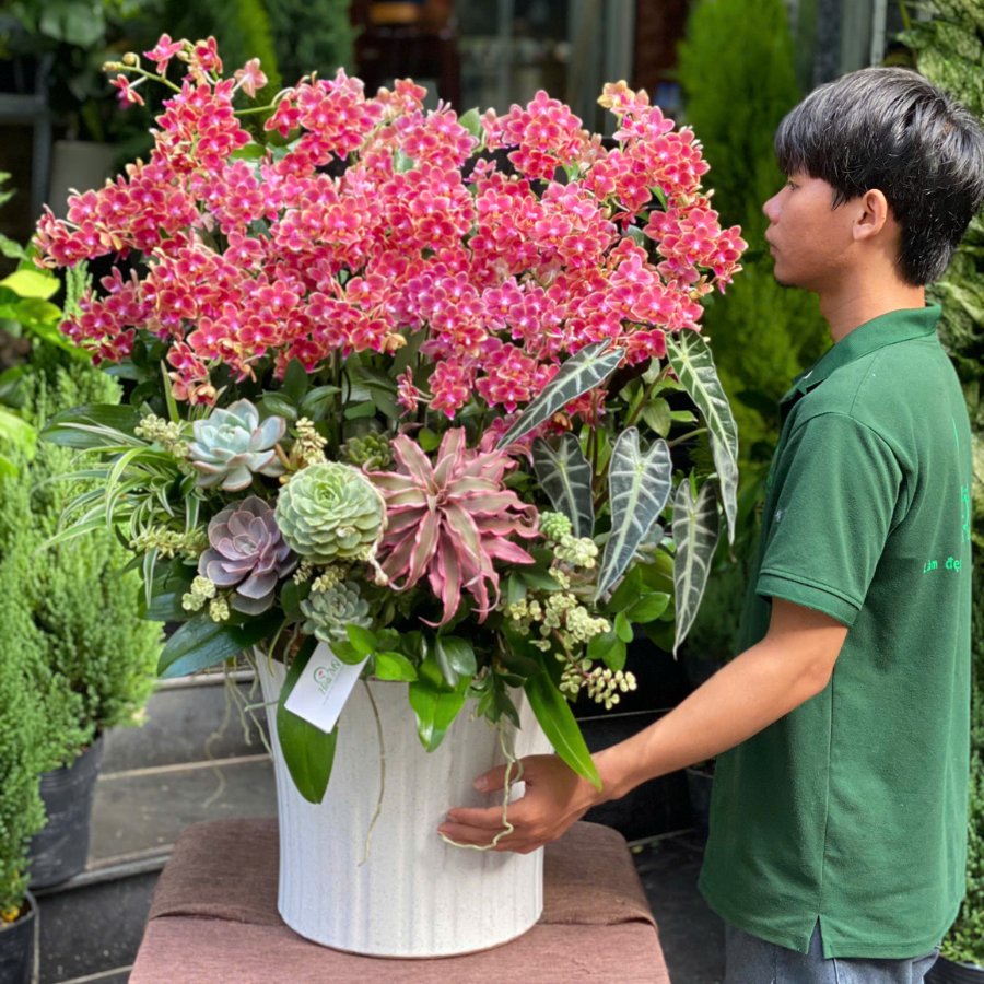 Bình Hồ Điệp Nhí Đỏ Dáng Cao Mix Sen Đá  - Hoa Chúc Mừng Nổi Bật Tươi Lâu