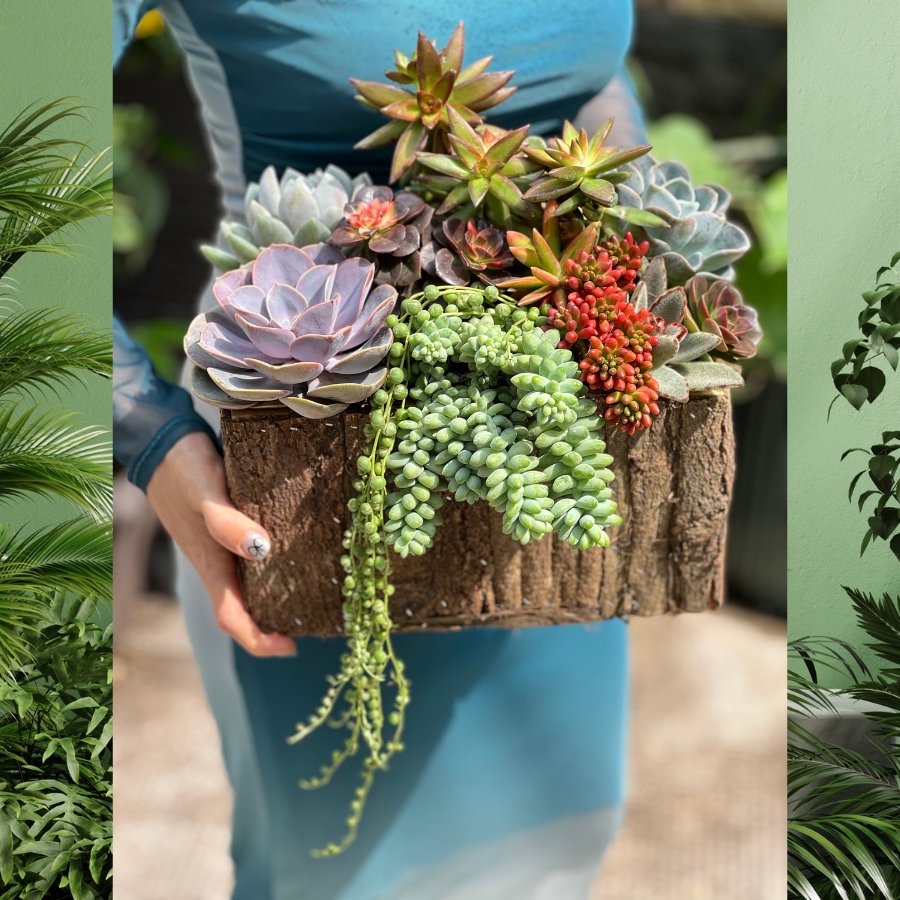 Giỏ Hoa Chúc Mừng Sinh Nhật Mẹ Mix Nhiều Loài Sen Đá Như Một Khu Vườn Thu Nhỏ 2
