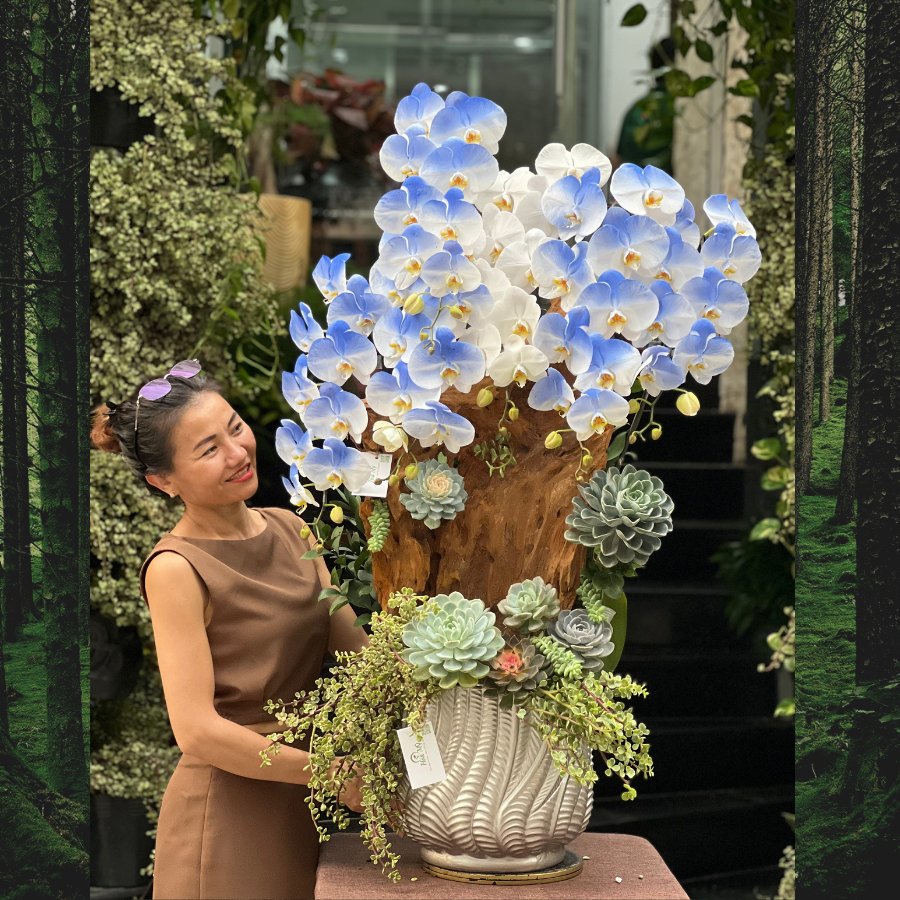 Lan Hồ Điệp Xanh Dương Mix Sen Đá Trồng Lũa Gỗ - Lẵng Hoa Sinh Nhật Đẹp Ấn Tượng Ghi Điểm Với Sếp Nữ 3