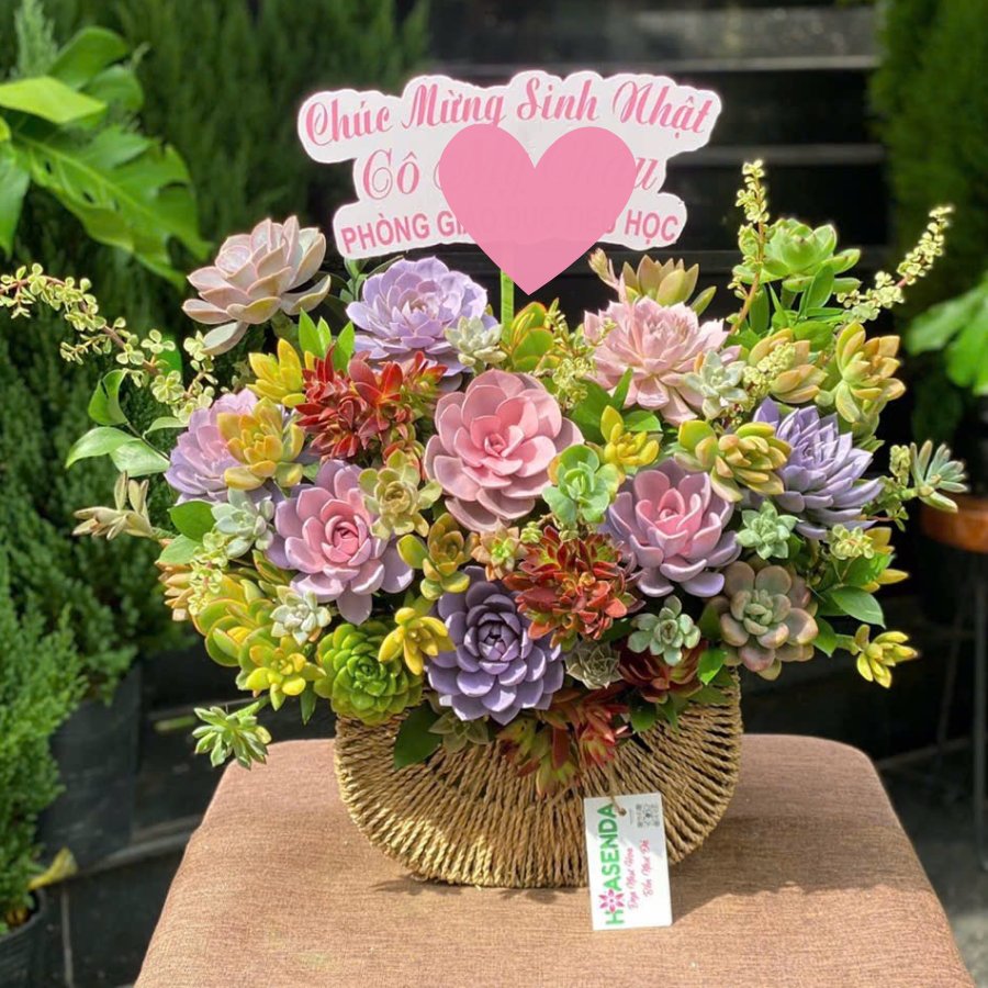 Giỏ Hoa Sinh Nhật Cho Nữ Với Lẵng Hoa Sen Đá Để Bàn Tông Pastel Cực Xinh 2