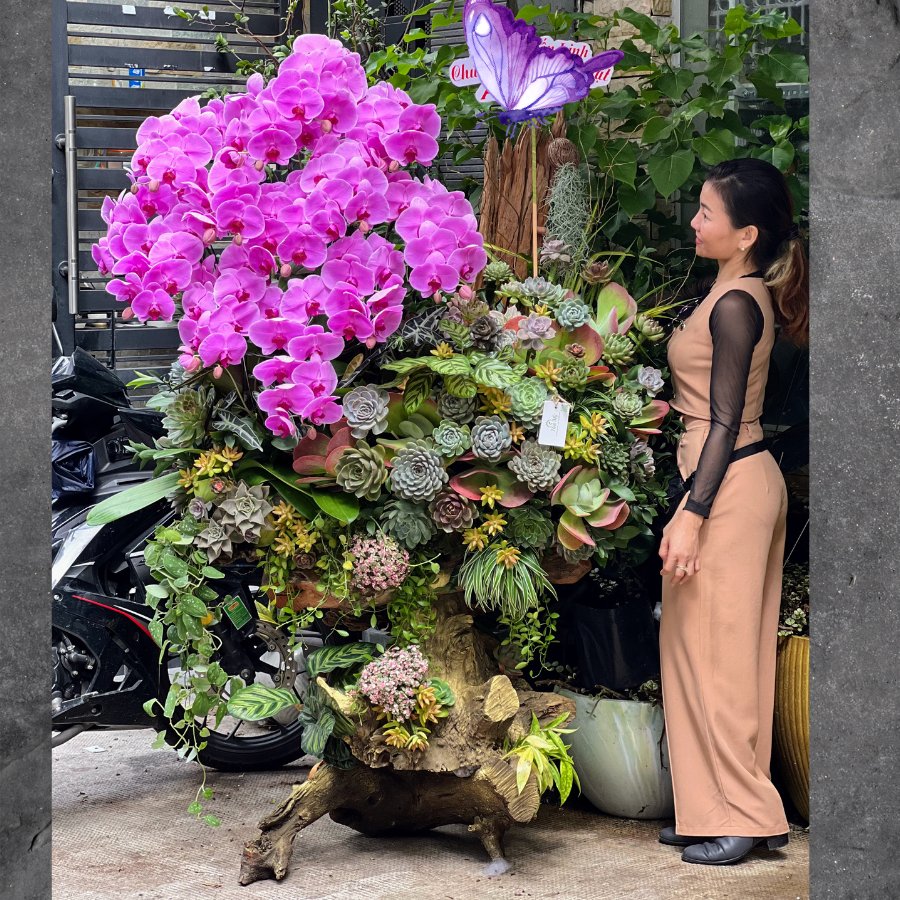 Tặng Hoa Sinh Nhật Khủng Có 102 Cho Đối Tác Với Lũa Lan Hồ Điệp Tím Mix Sen Đá Mang Ý Nghĩa Gì Đặc Biệt?