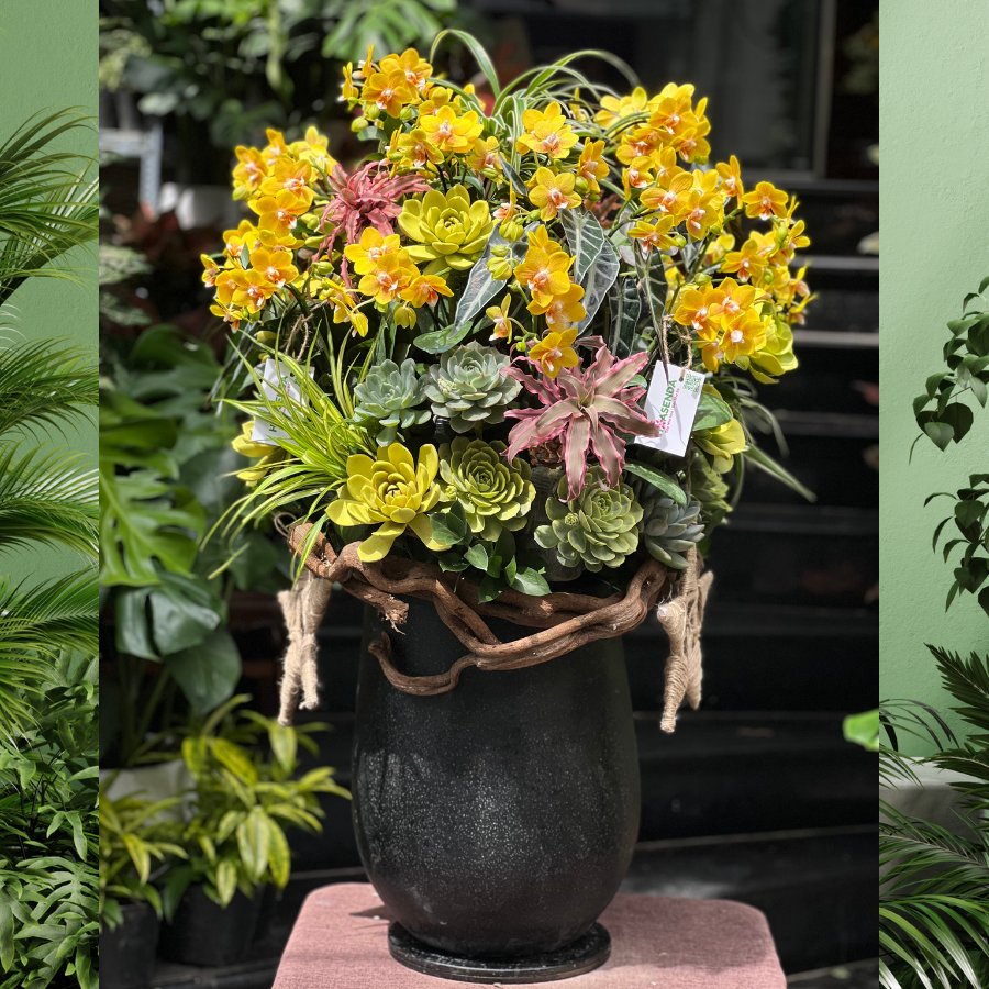 Vì Sao Nên Chọn Bình Hoa Lan Tiểu Hồ Điệp Vàng Mix Sen Đá Decor Làm Quà Tặng Sinh Nhật Sếp? 3