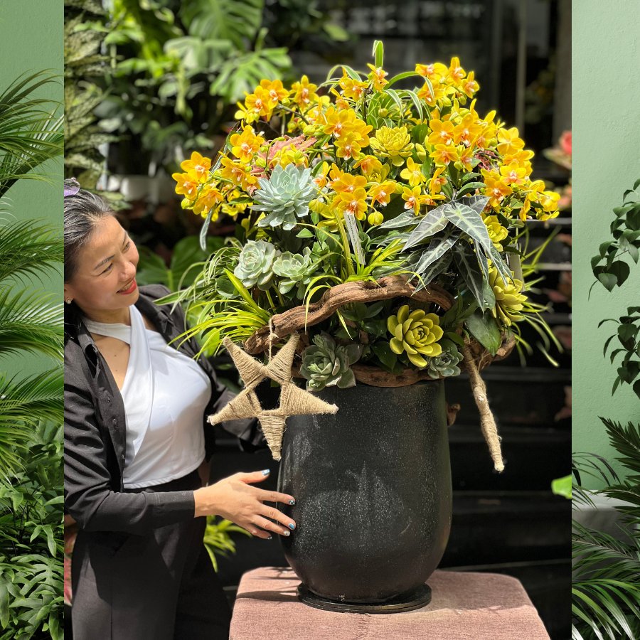 Vì Sao Nên Chọn Bình Hoa Lan Tiểu Hồ Điệp Vàng Mix Sen Đá Decor Làm Quà Tặng Sinh Nhật Sếp?