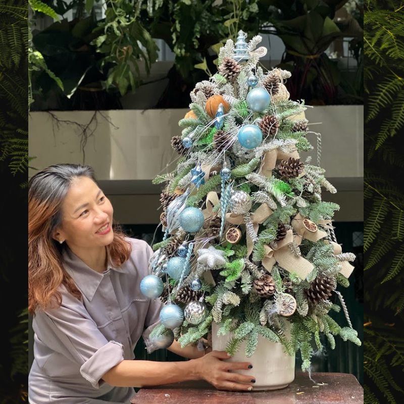 Cây Thông Thật Nhập Khẩu Ghép Cành Thông Đan Mạch Trang Trí Phụ Kiện Xanh Ngọc