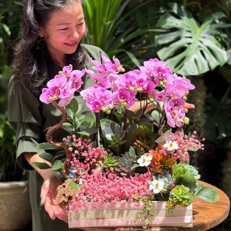 Gợi Ý Mẫu Hoa Tươi Để Bàn Bền Gần 1 Tháng Cho Văn Phòng Dịp 20/10: Tiểu Cảnh Lan Hồ Điệp Mix Sen Đá