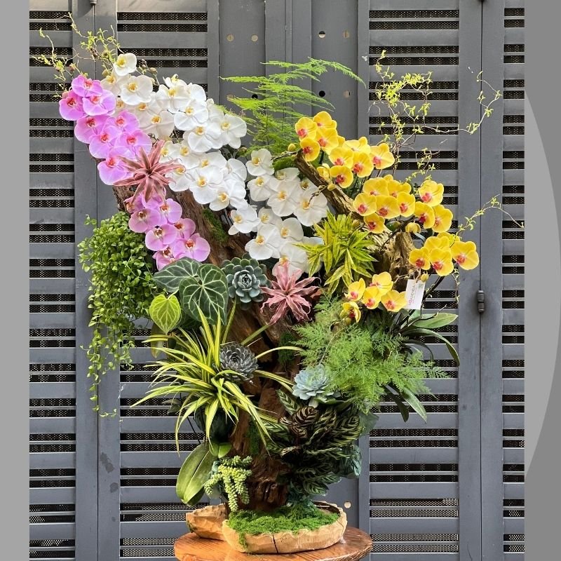 Lan Hồ Điệp Ghép Gỗ Lũa Mix 3 Màu- Hoa Mừng Kỷ Niệm Thành Lập Công Ty Ấn Tượng 3