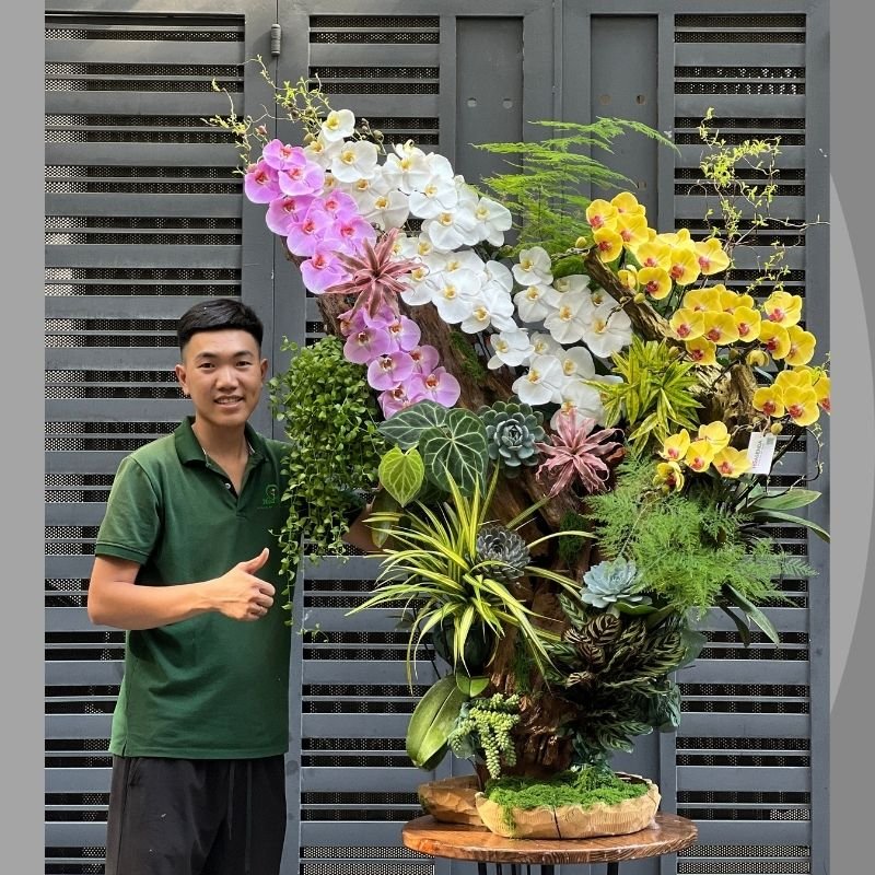 Lan Hồ Điệp Ghép Gỗ Lũa Mix 3 Màu- Hoa Mừng Kỷ Niệm Thành Lập Công Ty Ấn Tượng 2