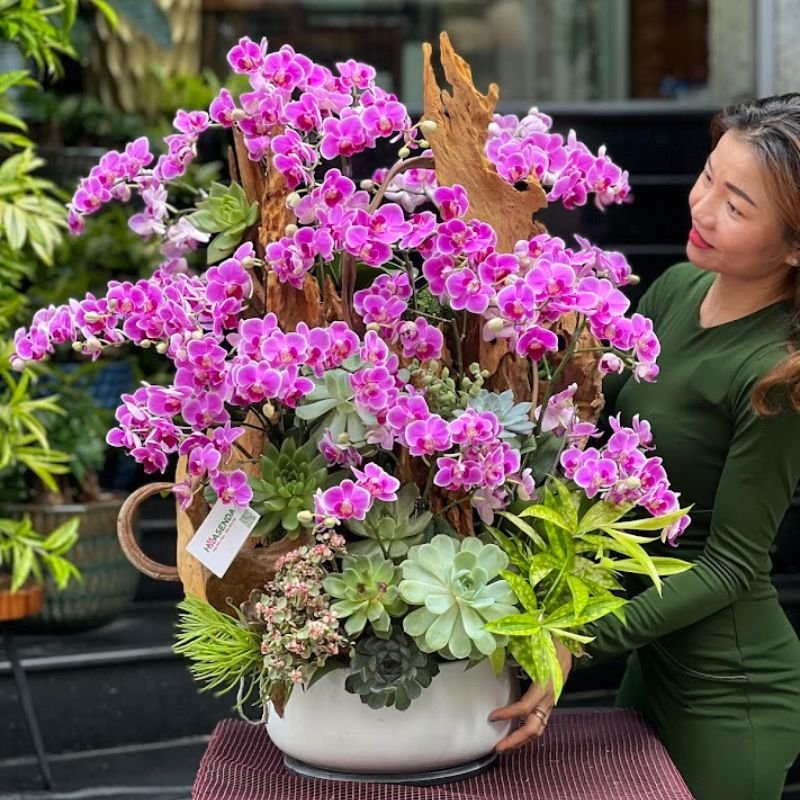 Hoa Sinh Nhật Đẹp Cho Nữ Từ Lan Hồ Điệp Hồng Mix Sen Đá Trồng Gỗ Lũa