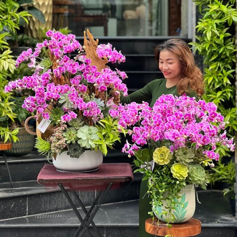 Hoa Sinh Nhật Đẹp Cho Nữ Từ Lan Hồ Điệp Hồng Mix Sen Đá Trồng Gỗ Lũa 2
