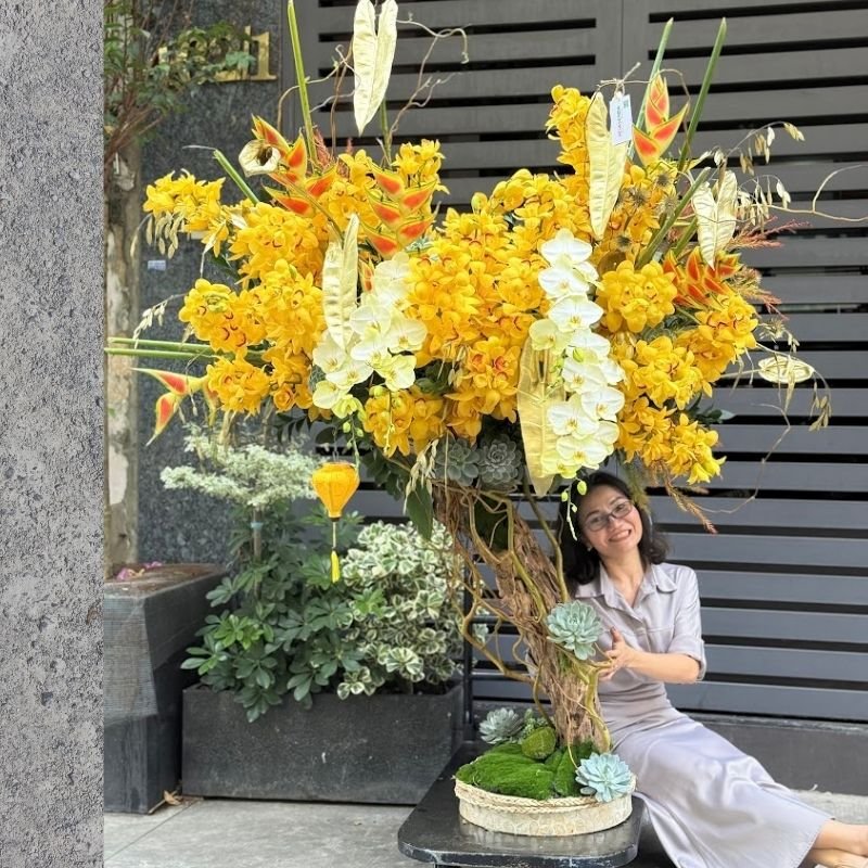 Chậu Địa Lan Vàng Bonsai Mang Cây Tài Lộc Về Nhà
