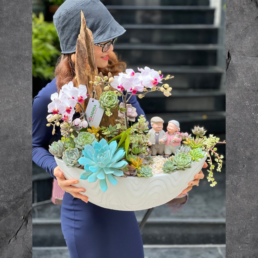 Chậu Hoa Lan Hồ Điệp Nhí Mix Sen Đá Và Lũa Gỗ Để Bàn - Món Quà Kỷ Niệm Ngày Cưới Khó Quên