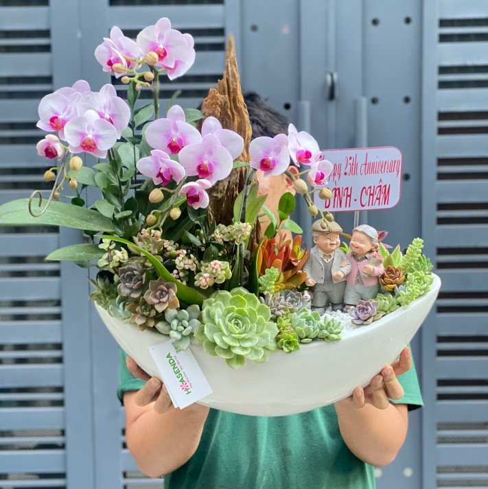 Chậu Hoa Lan Hồ Điệp Mix Sen Đá và Lũa Gỗ Để Bàn- Món Quà Kỷ Niệm Ngày Cưới Ý Nghĩa