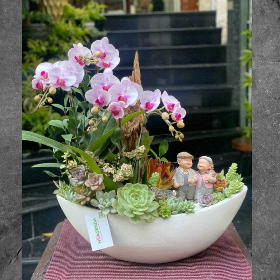 Chậu Hoa Lan Hồ Điệp Mix Sen Đá và Lũa Gỗ Để Bàn- Món Quà Kỷ Niệm Ngày Cưới Ý Nghĩa 2