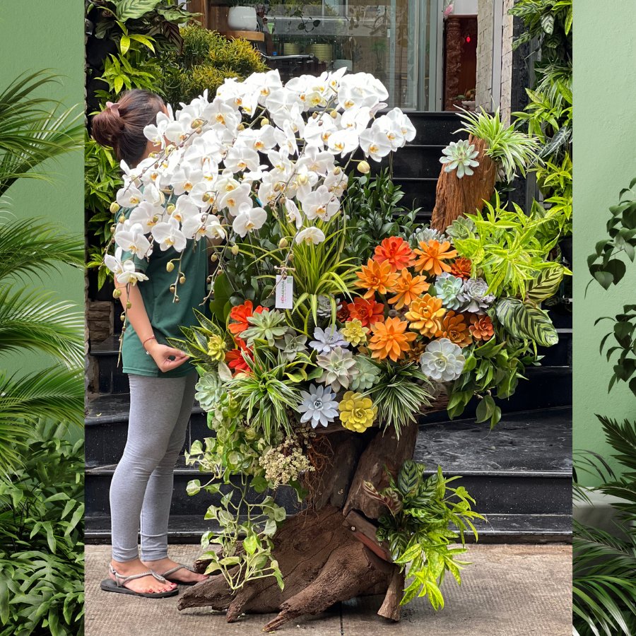 Lũa Hồ Điệp Trắng Mix Sen Đá Trên Thân Gỗ Hoành Tráng - Hoa Tân Gia, Hoa Mừng Thành Lập Công Ty 3