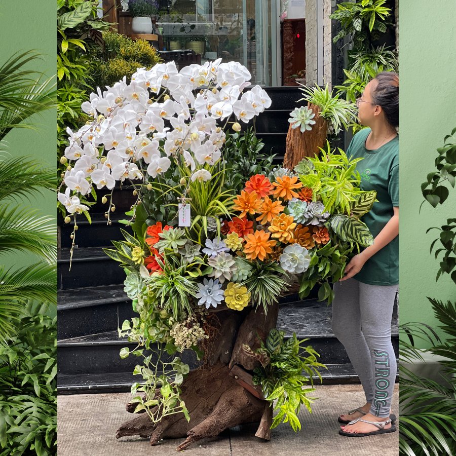 Lũa Hồ Điệp Trắng Mix Sen Đá Trên Thân Gỗ Hoành Tráng - Hoa Tân Gia, Hoa Mừng Thành Lập Công Ty 2