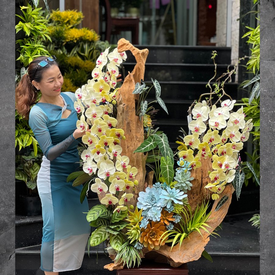 Gỗ Lũa Lan Hồ Điệp Vàng Mix Sen Đá Khủng - Biến Showroom Thành Không Gian Sang Trọng 3