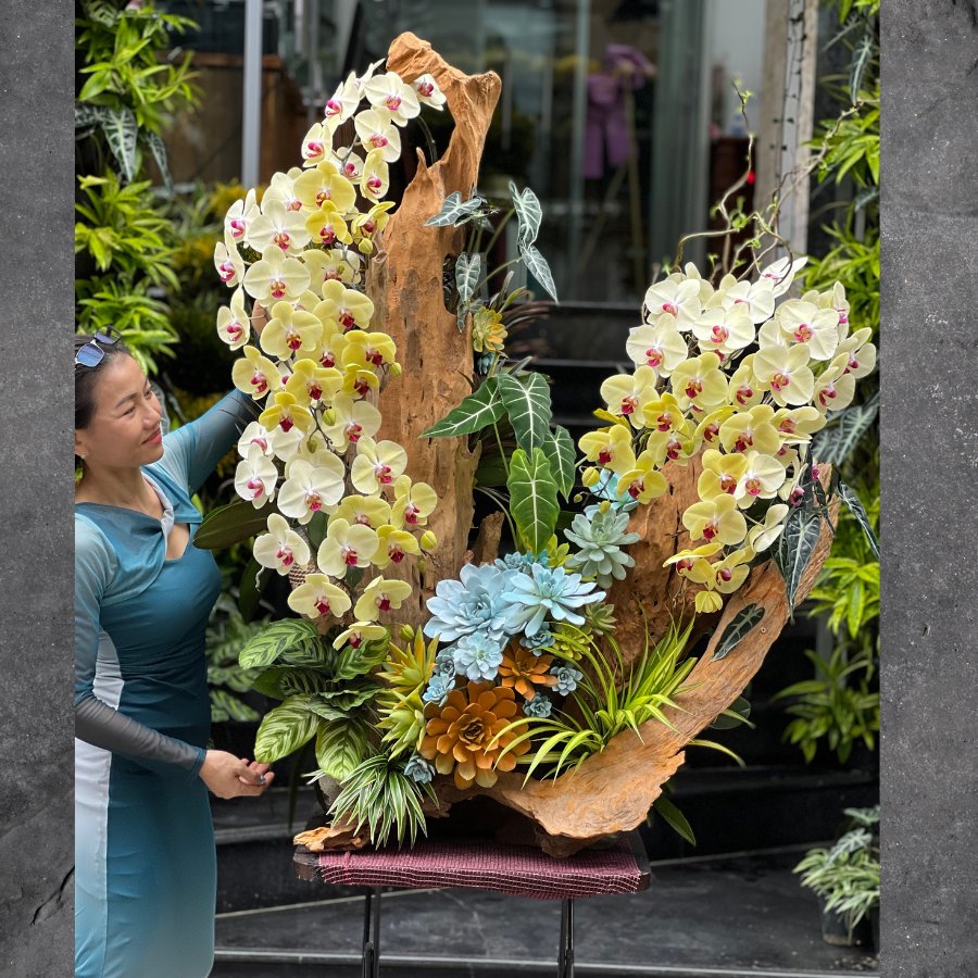 Gỗ Lũa Lan Hồ Điệp Vàng Mix Sen Đá Khủng - Biến Showroom Thành Không Gian Sang Trọng 2