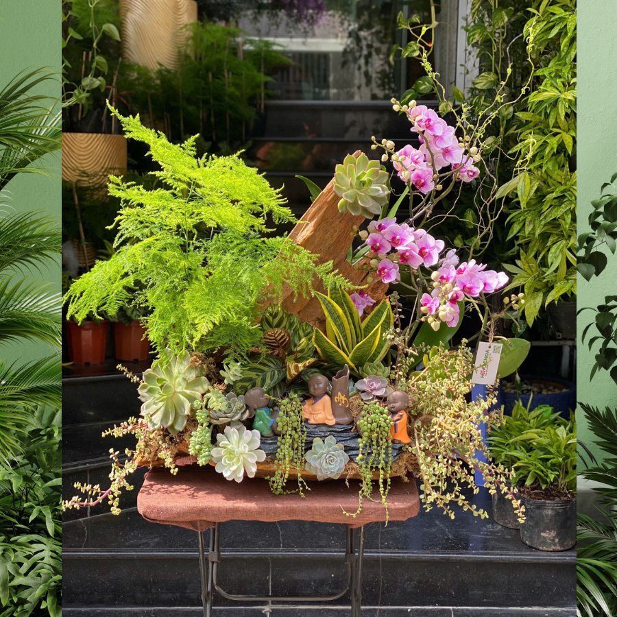 Lũa Lan Hồ Điệp Tím Mix Sen Đá và Lũa Gỗ Mang Phong Cách Phật Giáo -  Món Quà Mừng Thọ Ý Nghĩa 3
