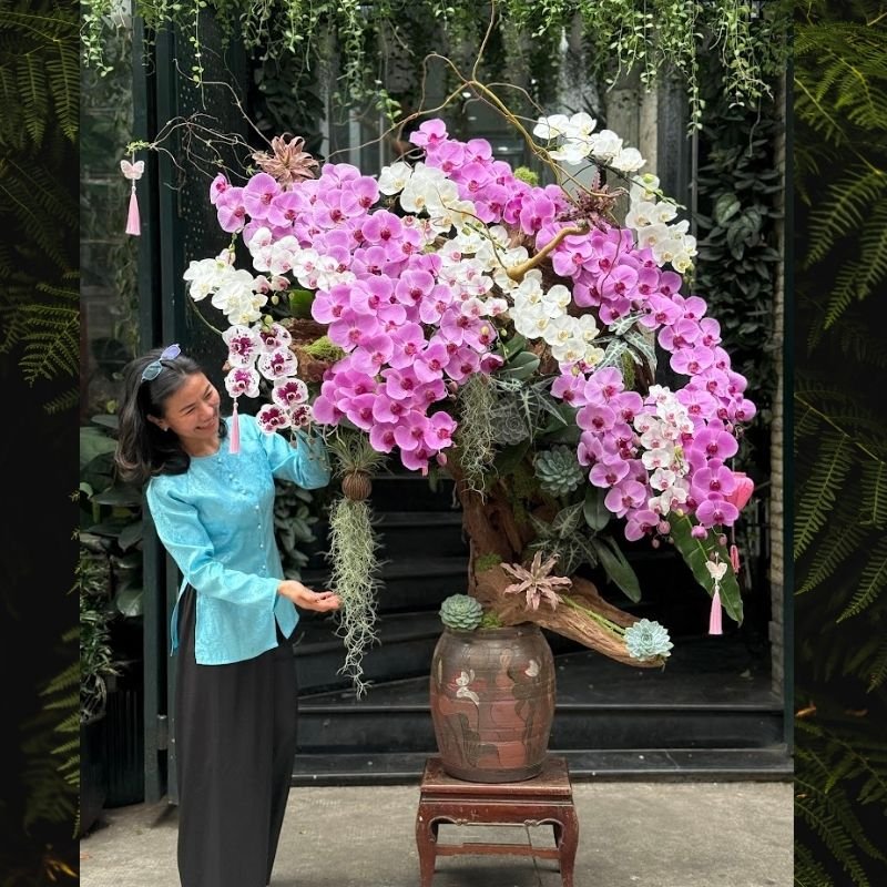 Lan Hồ Điệp Bonsai Dáng Cây Cổ Thụ– Hoa Mang Ý Nghĩa Vững Chãi Tựa Non Ngàn 2