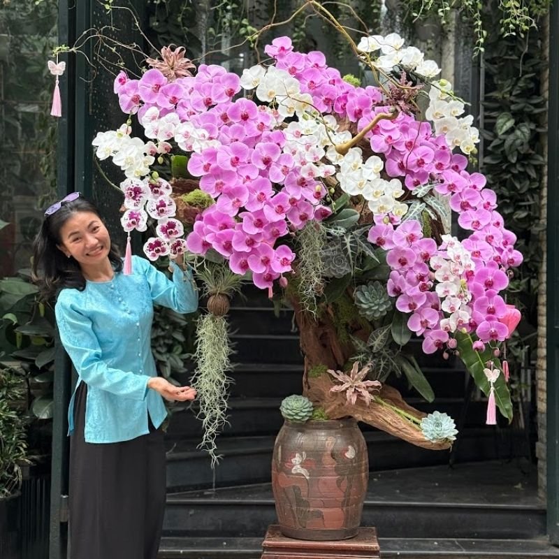 Lan Hồ Điệp Bonsai Dáng Cây Cổ Thụ– Hoa Mang Ý Nghĩa Vững Chãi Tựa Non Ngàn