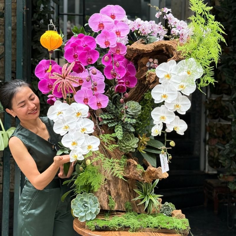 Hoa Tặng Ngày Doanh Nhân Việt Nam 13/10: Tiểu Cảnh Lũa Lan Hồ Điệp Tím, Trắng, Hồng Mix Sen Đá Dáng Bonsai 2