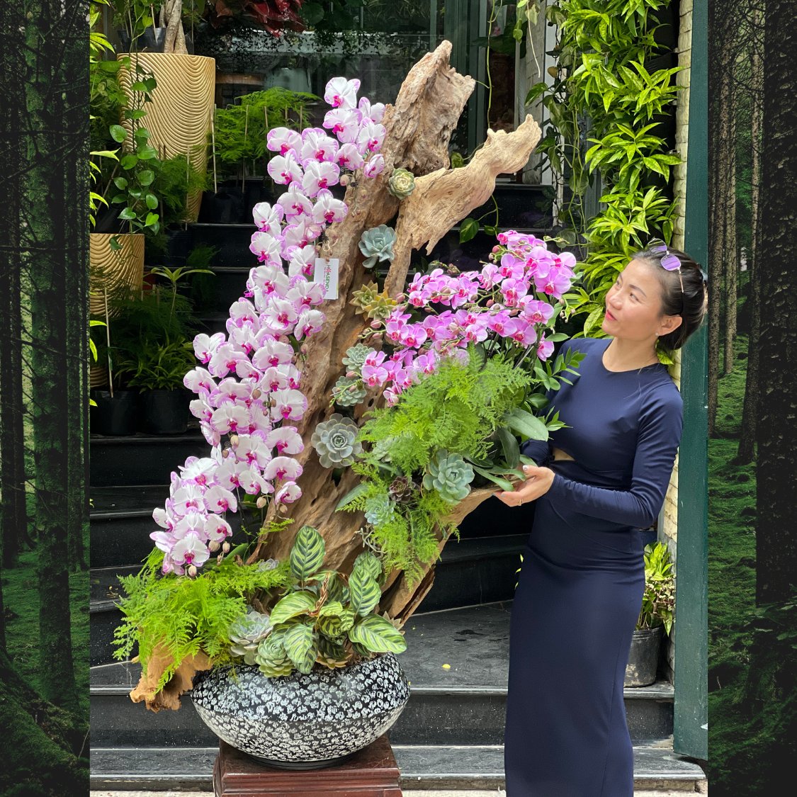 Lũa Gỗ Lan Hồ Điệp và Sen Đá Hoành Tráng- Hoa Tặng Sang Trọng Cho Showroom Của Bạn