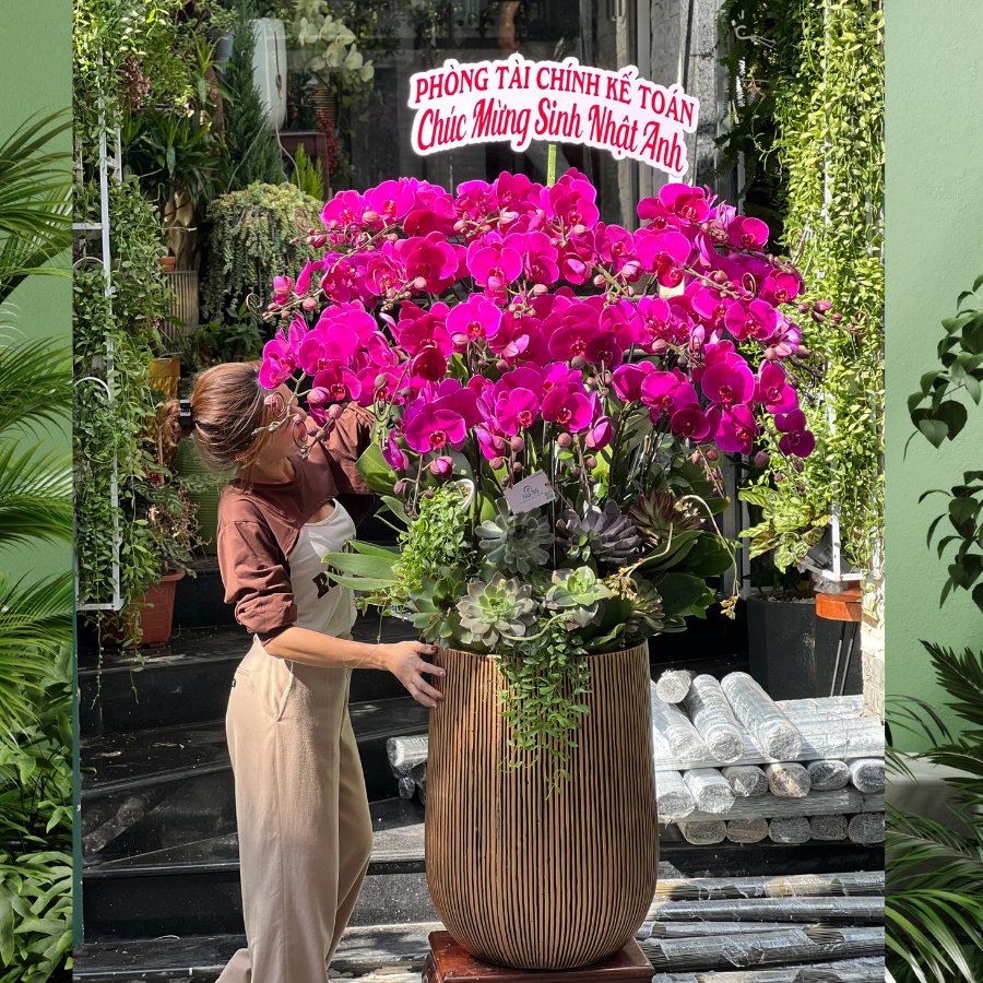 Bình Hoa Lan Hồ Điệp Màu Hồng Siêu To Mix Sen Đá - Điểm Nhấn Đẳng Cấp Cho Đại Sảnh 2