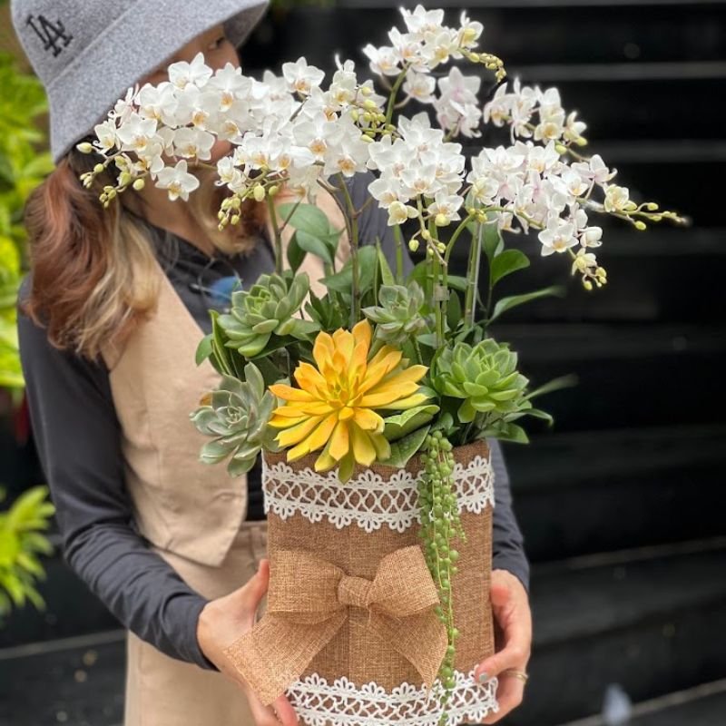 Bình Hoa Lan Hồ Điệp Đẹp Để Bàn Kết Từ Tiểu Hồ Điệp Trắng Mix Sen Đá 2