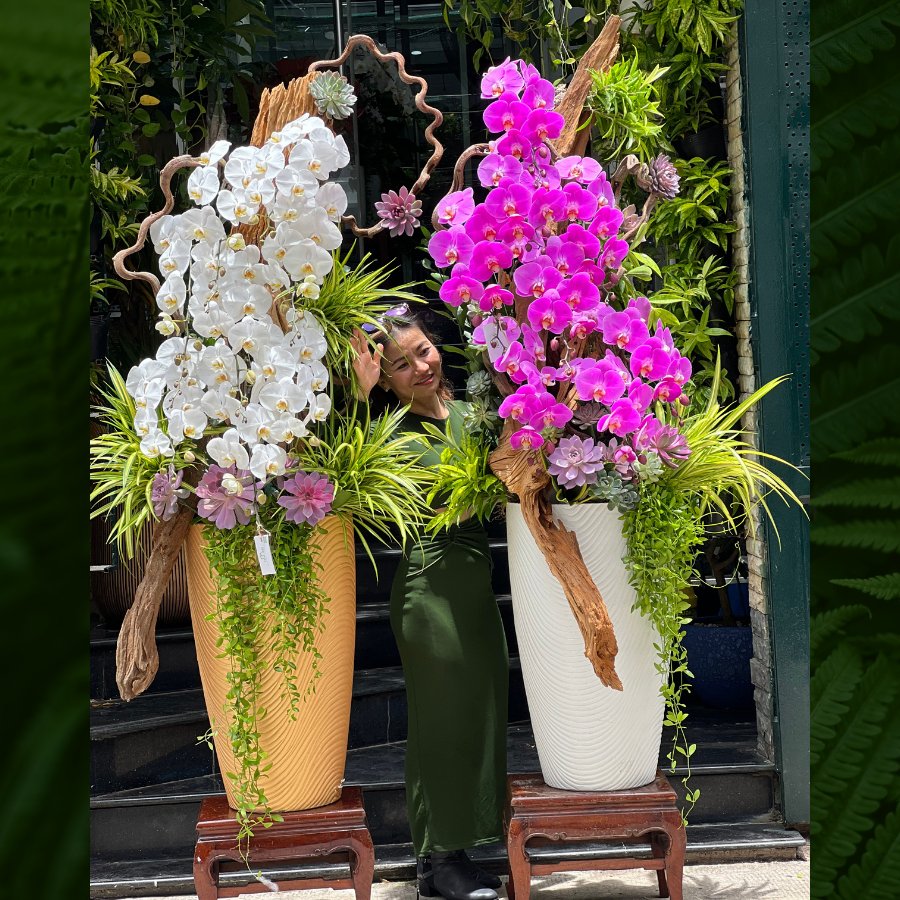 Shop Hoa Lan Hồ Điệp Mix Sen Đá Và Lũa Gỗ Độc - Lạ - Giao Nhanh 24 Giờ TP. Hồ Chí Minh 3