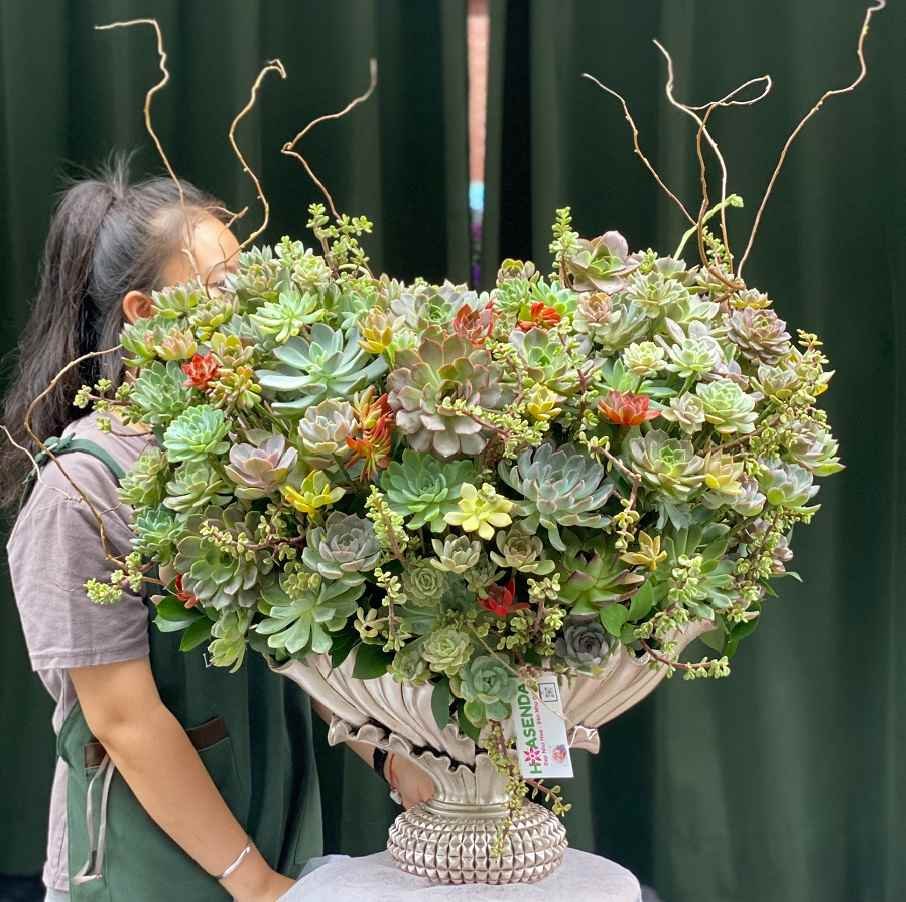 Lẵng Hoa Sen Trái Tim Ngọt Ngào Và Ý Nghĩa Tặng Mẹ