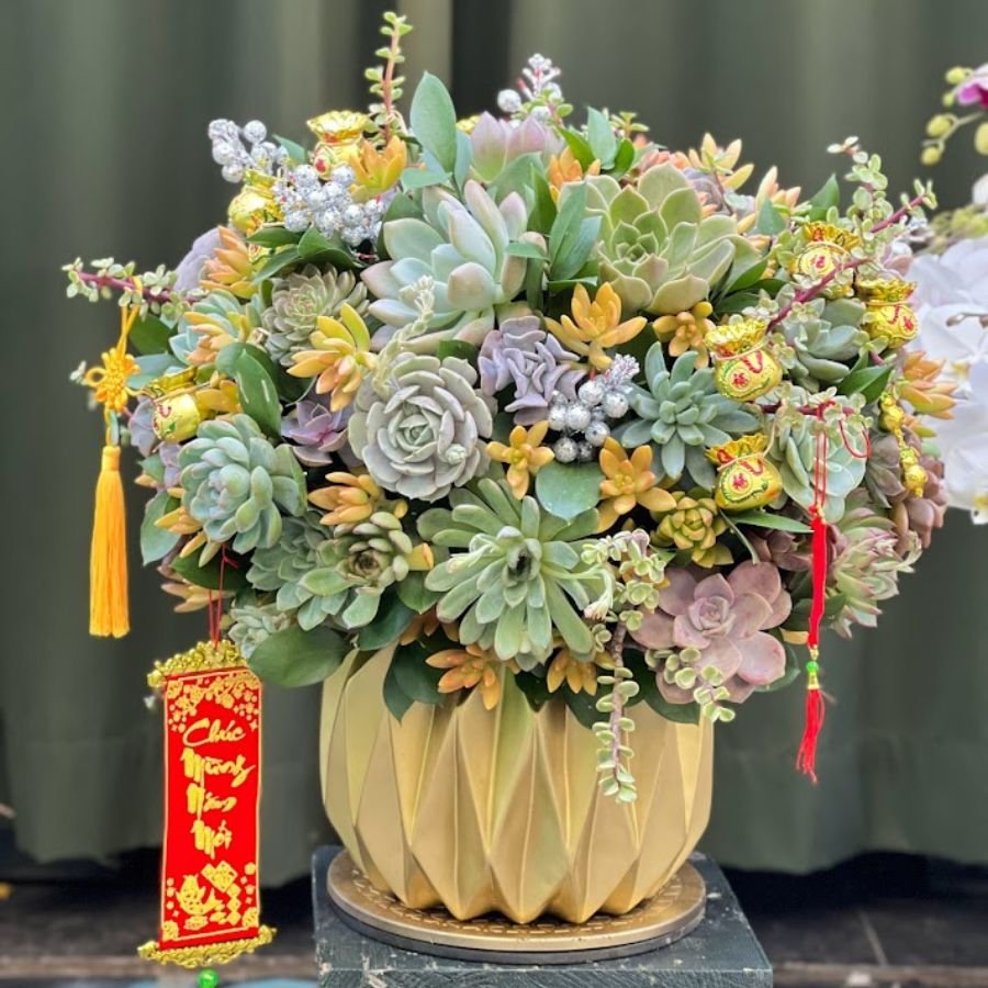 Sen Đá Decor - Quà Sinh Nhật Ông Bà Ý Nghĩa