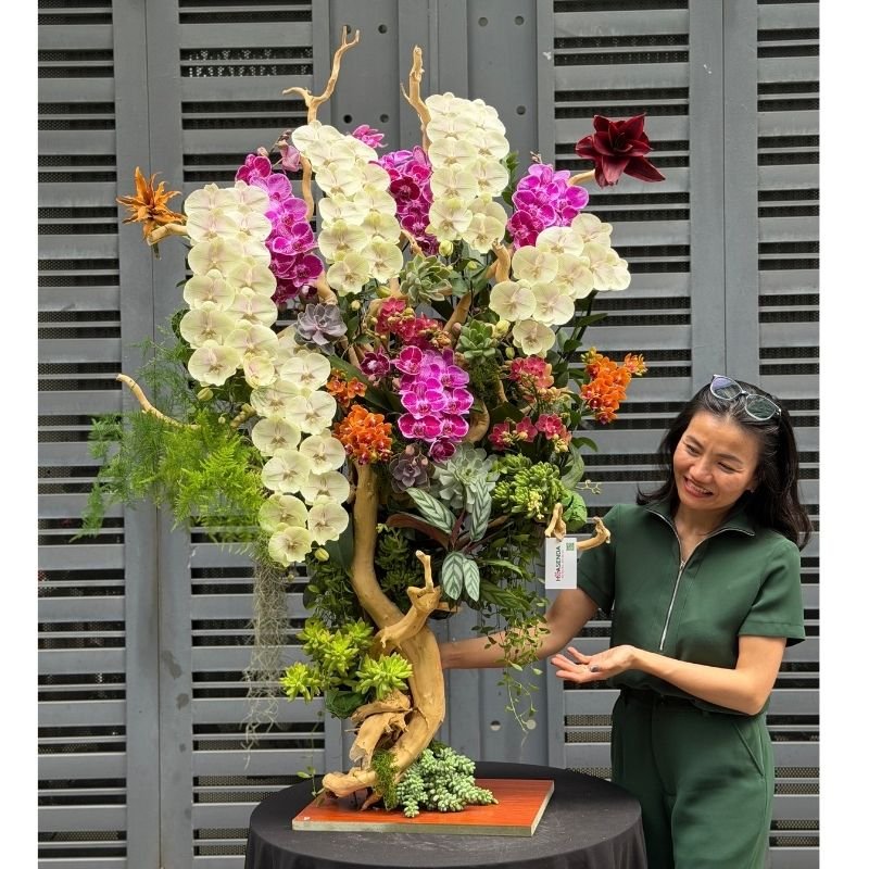 Bonsai Lan Hồ Điệp Ghép Gỗ Đỗ Quyên- Quà Tặng Tân Gia Từ Sen Đá Mang Lại Thịnh Vượng