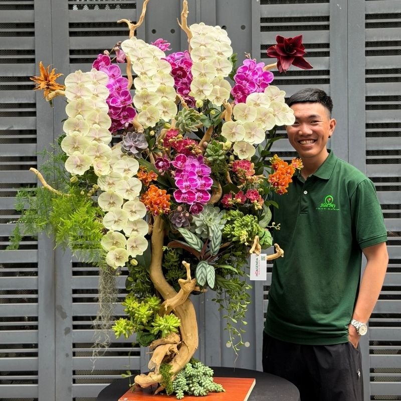 Bonsai Lan Hồ Điệp Ghép Gỗ Đỗ Quyên- Quà Tặng Tân Gia Từ Sen Đá Mang Lại Thịnh Vượng 2