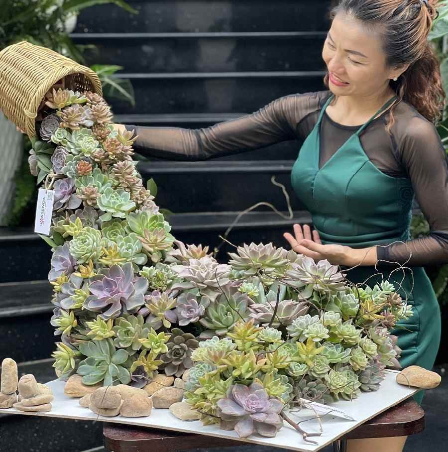 Tiểu Cảnh Sen Đá Thác Nước Khổng Lồ Độc Đáo - Quà Tặng Tân Gia Cao Cấp 2