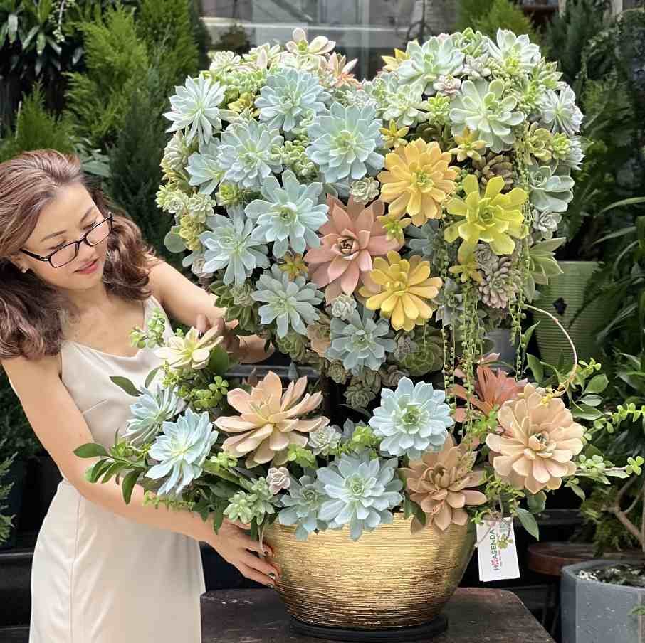 Bình Hoa Sen Đá Trái Tim Tình Yêu Vĩnh Cửu - Quà Tặng Kỷ Niệm Ngày Cưới Cho Vợ