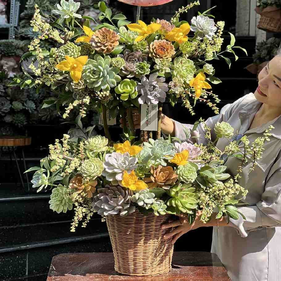 Giỏ Hoa Sen Đá 2 Tầng - Quà Tặng Tân Gia Ý Nghĩa Cho Chủ Nhà