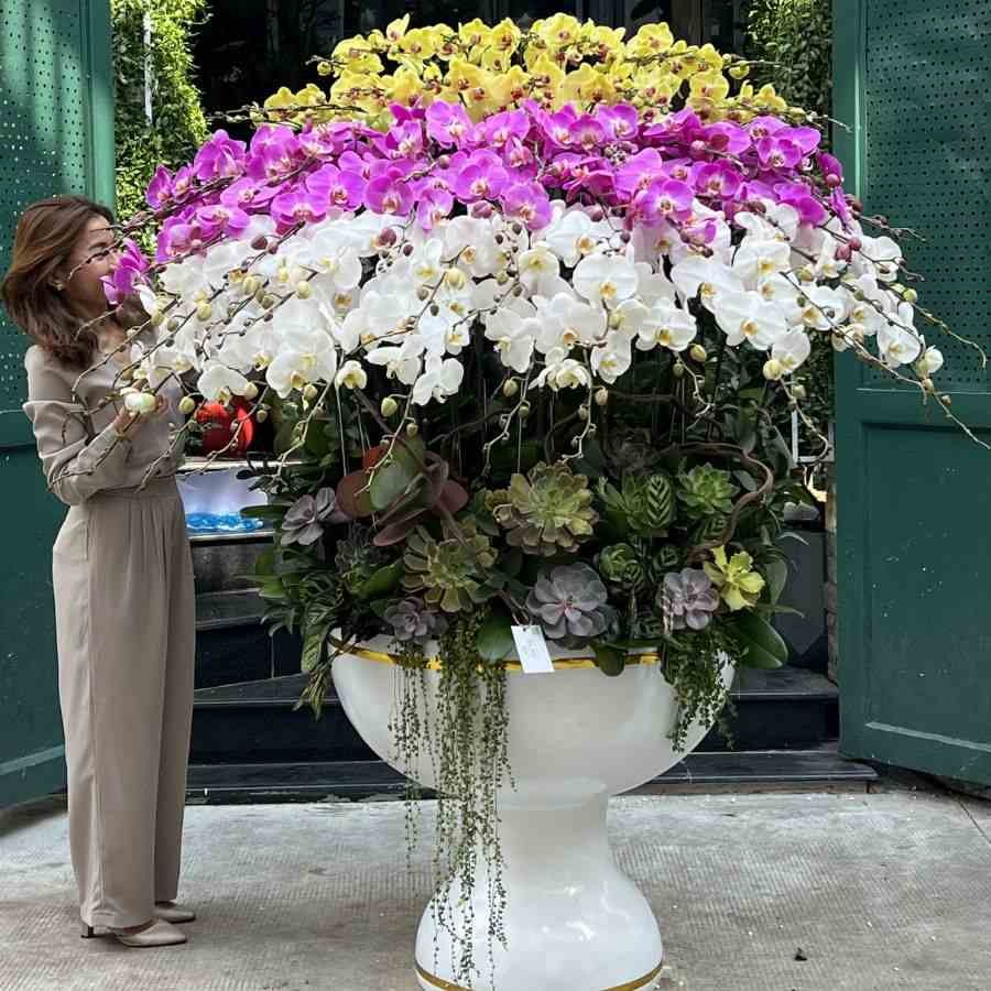 Bình Hoa Lan Hồ Điệp Khổng Lồ Mix Hoa Sen Đá – Quà Tặng Công Ty Thành Lập