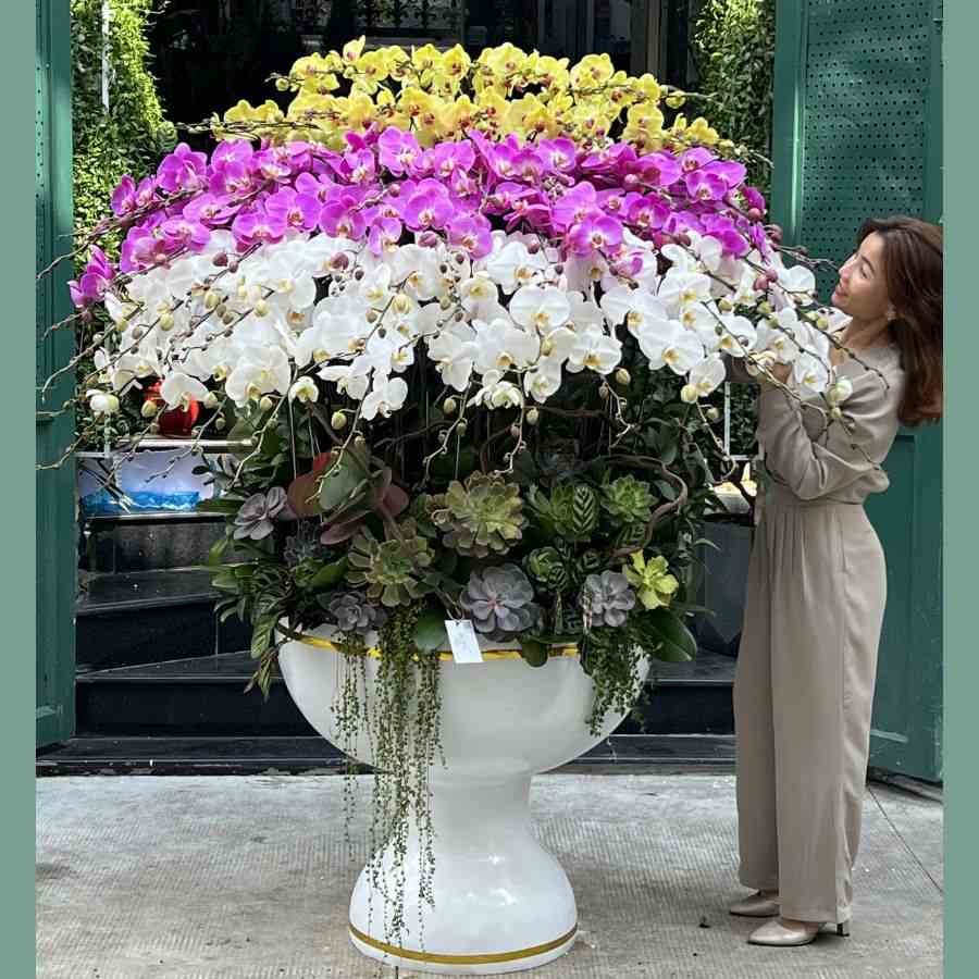 Bình Hoa Lan Hồ Điệp Khổng Lồ Mix Hoa Sen Đá – Quà Tặng Công Ty Thành Lập 3